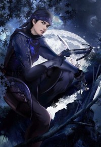 后宫猎艳