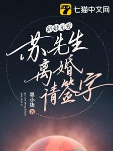 新婚无爱,苏先生离婚请签字